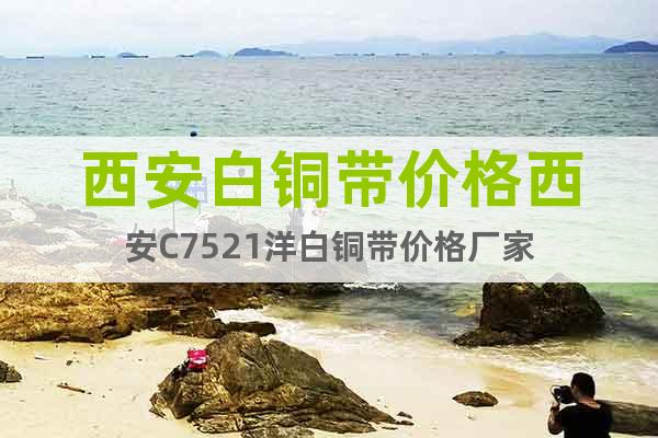 西安白銅帶價格西安C7521洋白銅帶價格廠家