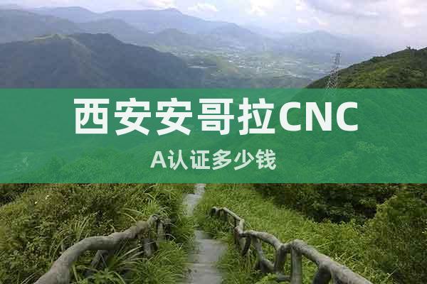 西安安哥拉CNCA認(rèn)證多少錢