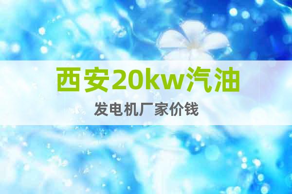 西安20kw汽油发电机厂家价钱