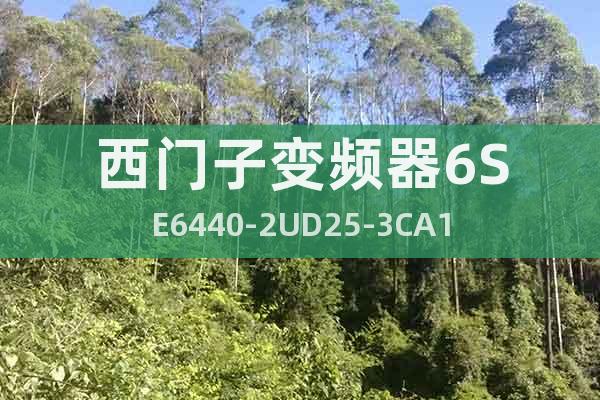 西門子變頻器6SE6440-2UD25-3CA1