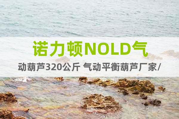 諾力頓NOLD氣動葫蘆320公斤 氣動平衡葫蘆廠家/報價
