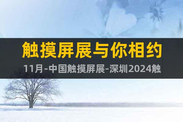 觸摸屏展與你相約11月-中國觸摸屏展-深圳2024觸摸屏展