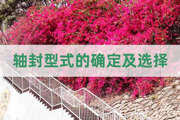 軸封型式的確定及選擇