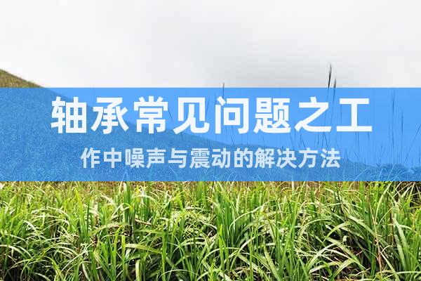 軸承常見(jiàn)問(wèn)題之工作中噪聲與震動(dòng)的解決方法