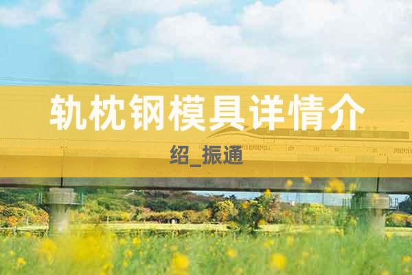 軌枕鋼模具詳情介紹_振通