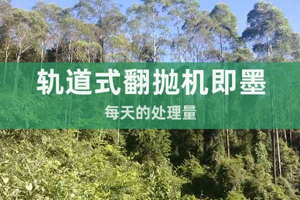 軌道式翻拋機(jī)即墨每天的處理量