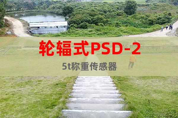 輪輻式PSD-25t稱重傳感器