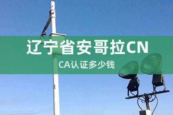 辽宁省安哥拉CNCA认证多少钱