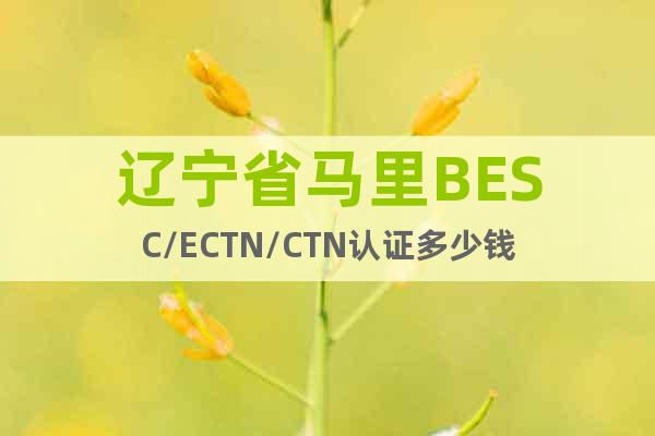 辽宁省马里BESC/ECTN/CTN认证多少钱