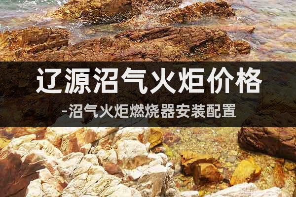 遼源沼氣火炬價格-沼氣火炬燃燒器安裝配置