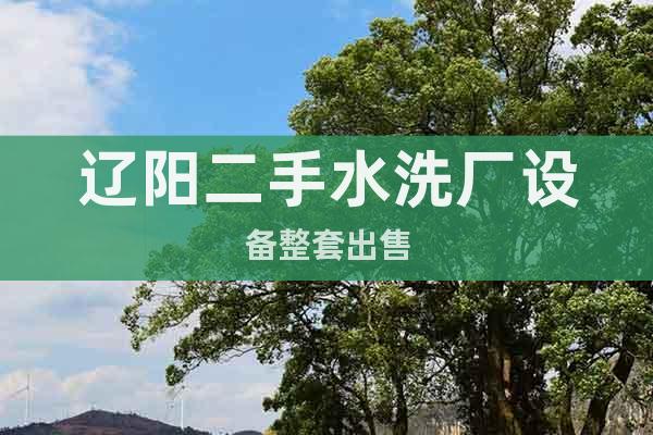 遼陽二手水洗廠設備整套出售