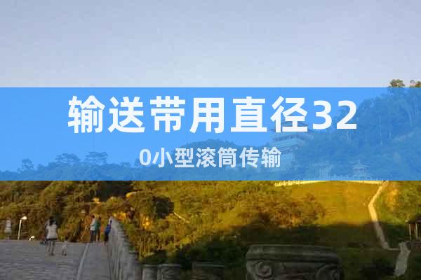 輸送帶用直徑320小型滾筒傳輸