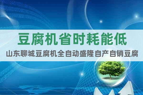 豆腐機(jī)省時(shí)耗能低山東聊城豆腐機(jī)全自動(dòng)盛隆自產(chǎn)自銷豆腐機(jī)