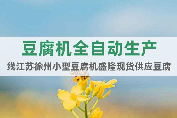 豆腐机全自动生产线江苏徐州小型豆腐机盛隆现货供应豆腐机
