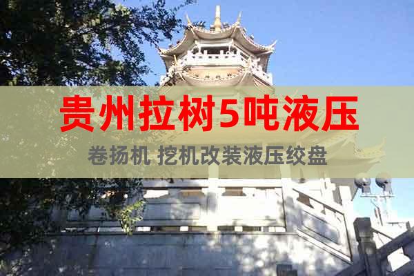 貴州拉樹5噸液壓卷揚(yáng)機(jī) 挖機(jī)改裝液壓絞盤