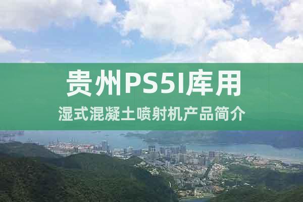 貴州PS5I庫(kù)用濕式混凝土噴射機(jī)產(chǎn)品簡(jiǎn)介
