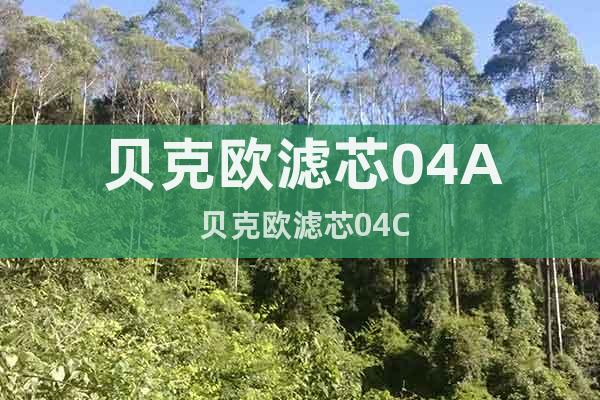 貝克歐濾芯04A 貝克歐濾芯04C