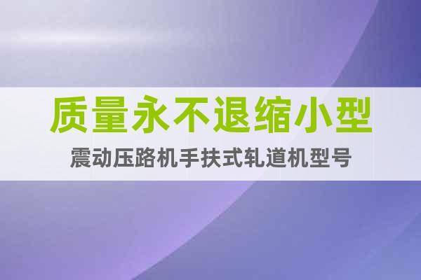 質(zhì)量永不退縮小型震動壓路機手扶式軋道機型號