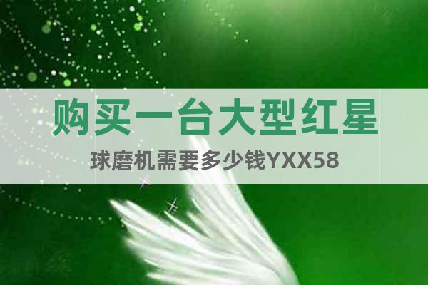 購(gòu)買一臺(tái)大型紅星球磨機(jī)需要多少錢YXX58