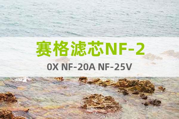 赛格滤芯NF-20X NF-20A NF-25V