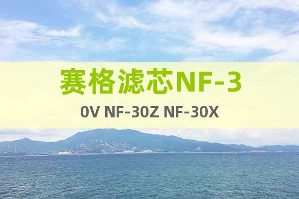 赛格滤芯NF-30V NF-30Z NF-30X