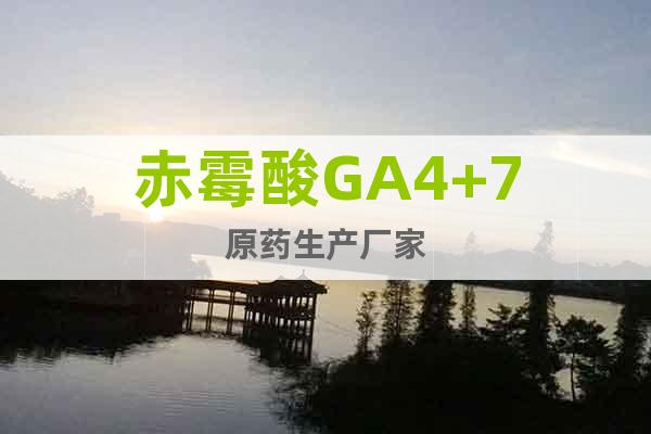 赤霉酸GA4+7原藥生產廠家