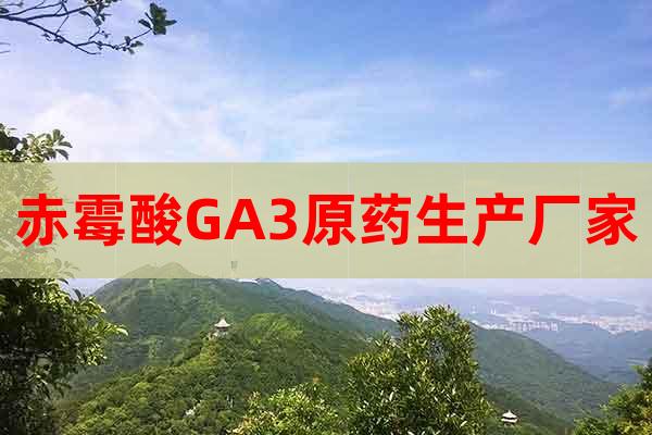 赤霉酸GA3原藥生產(chǎn)廠家