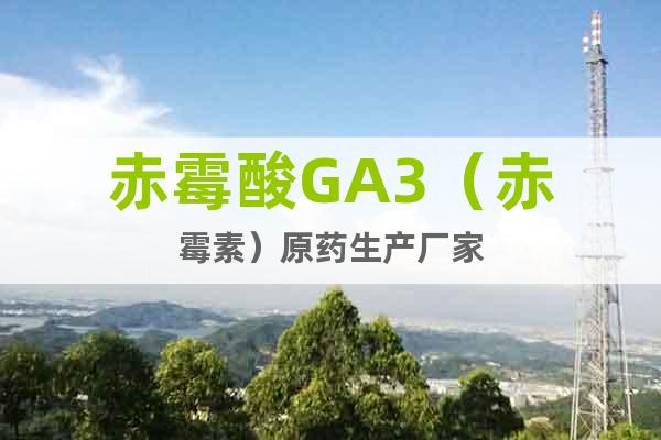 赤霉酸GA3（赤霉素）原藥生產(chǎn)廠家