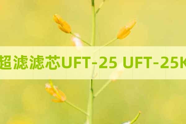 超滤滤芯UFT-25 UFT-25K