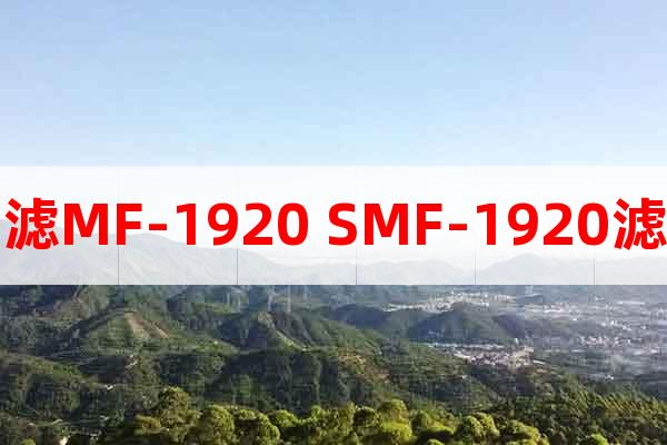 超濾MF-1920 SMF-1920濾芯