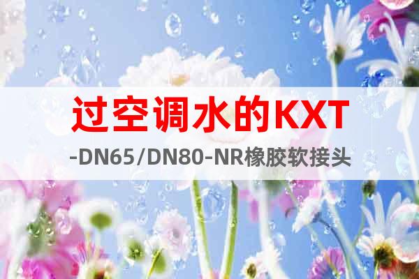 過空調水的KXT-DN65/DN80-NR橡膠軟接頭