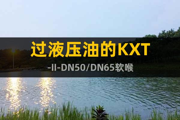 过液压油的KXT-II-DN50/DN65软喉