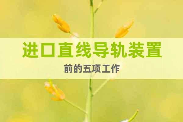 進(jìn)口直線導(dǎo)軌裝置前的五項(xiàng)工作