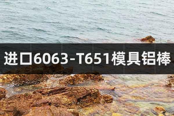 進口6063-T651模具鋁棒
