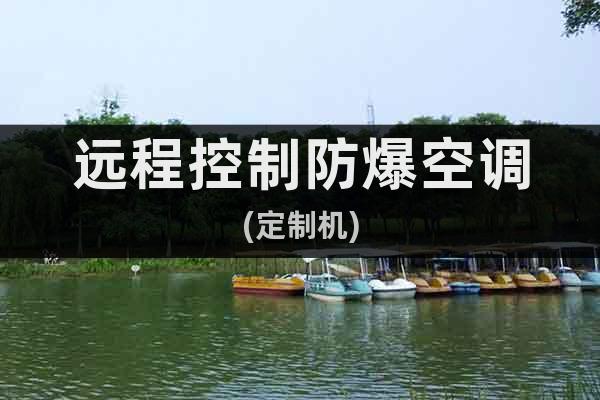 遠程控制防爆空調(diào)(定制機)