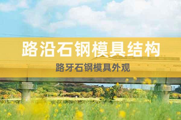 路沿石鋼模具結(jié)構(gòu)  路牙石鋼模具外觀