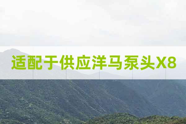 適配于供應洋馬泵頭X8