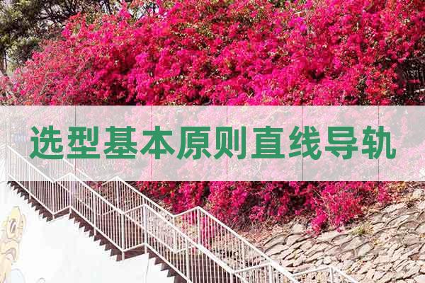 選型基本原則直線導(dǎo)軌