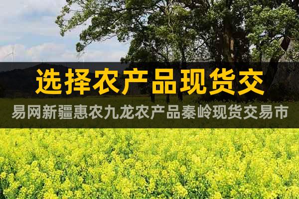 选择农产品现货交易网新疆惠农九龙农产品秦岭现货交易市场