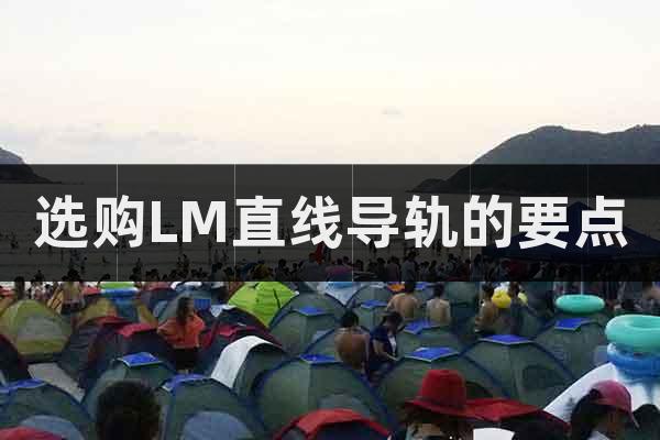 選購(gòu)LM直線導(dǎo)軌的要點(diǎn)