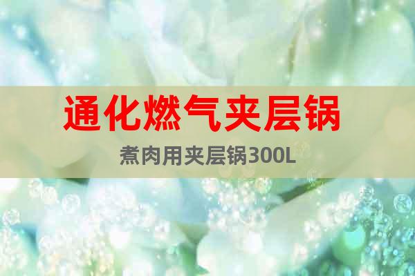 通化燃氣夾層鍋 煮肉用夾層鍋300L