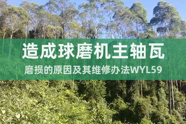 造成球磨機(jī)主軸瓦磨損的原因及其維修辦法WYL59