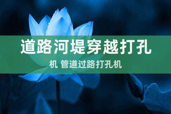 道路河堤穿越打孔機 管道過路打孔機