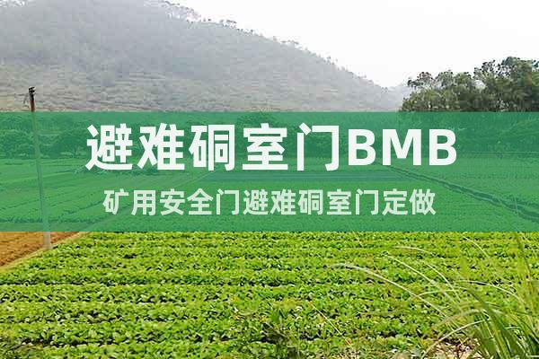 避難硐室門BMB礦用安全門避難硐室門定做