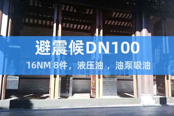 避震候DN100 16NM 8件，液压油 ，油泵吸油口处用的