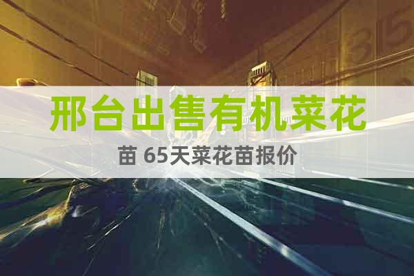 邢臺出售有機菜花苗 65天菜花苗報價