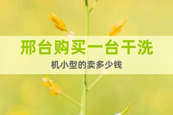 邢臺購買一臺干洗機(jī)小型的賣多少錢
