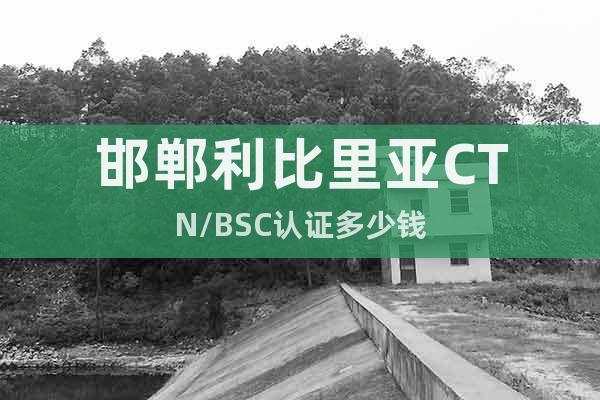 邯鄲利比里亞CTN/BSC認(rèn)證多少錢