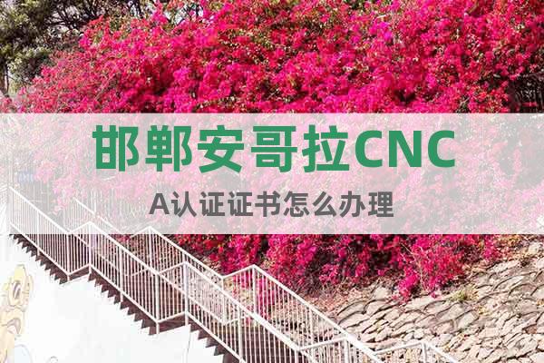 邯郸安哥拉CNCA认证证书怎么办理