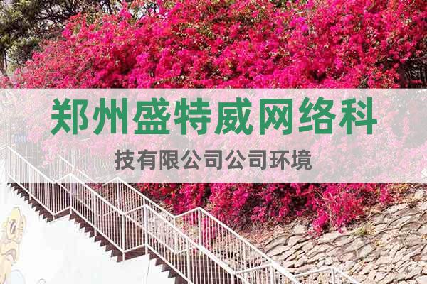 鄭州盛特威網絡科技有限公司公司環(huán)境